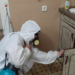 Дезинфекция от муравьев в квартире Волгоградский проспект метро Москвы