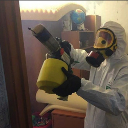 Уничтожение клопов в квартире. Волгоградский проспект
