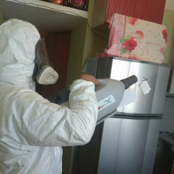 Уничтожение насекомых в квартире. Волгоградский проспект